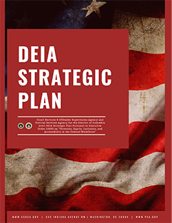Joint Diversity, Equity, Inclusion, and Accessibility (DEIA) Strategic Plan