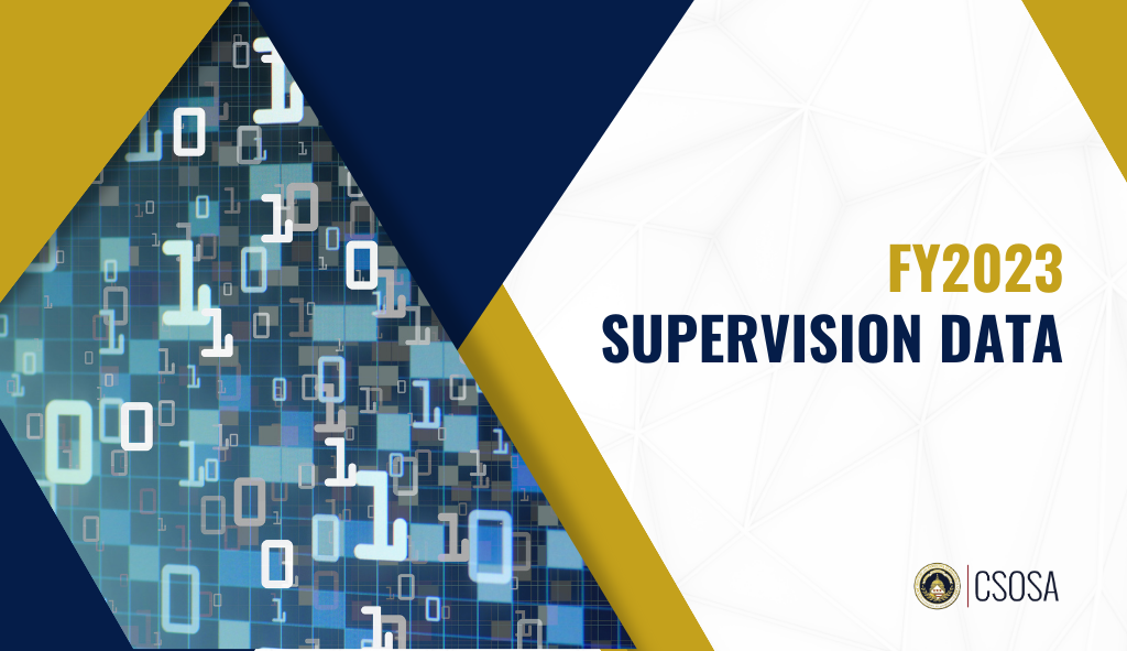 fiscal-year-2023-supervision-data